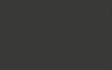 Load image into Gallery viewer, 24" ANIK Door