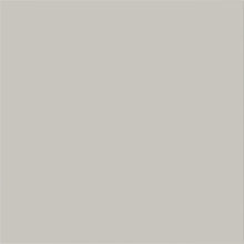 Load image into Gallery viewer, 24" ANIK Door