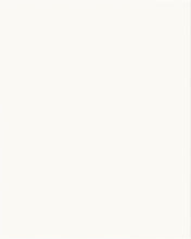 Load image into Gallery viewer, 24" ANIK Door